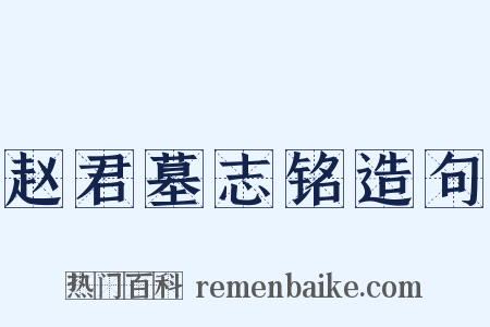 赵君墓志铭造句是什么意思的图片